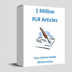 1 Million PLR Articles